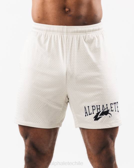 malla cabeza de lobo corta 6" hombres Alphalete 08R8658 ropa concha de mar marrón