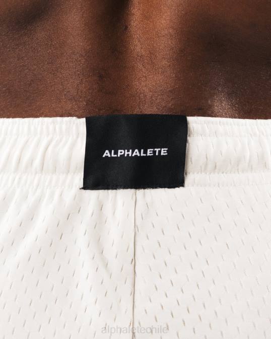 malla cabeza de lobo corta 6" hombres Alphalete 08R8658 ropa concha de mar marrón
