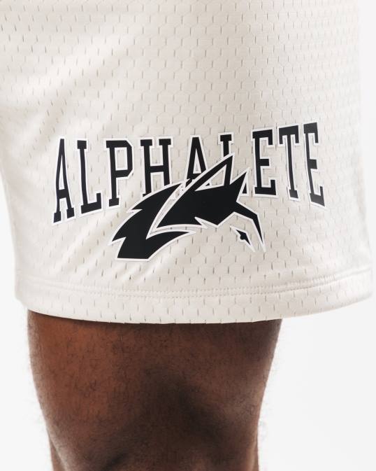 malla cabeza de lobo corta 6" hombres Alphalete 08R8658 ropa concha de mar marrón