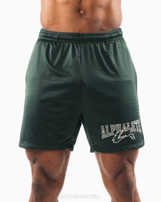 malla cabeza de lobo corta 6" hombres Alphalete 08R8660 ropa hojas perennes