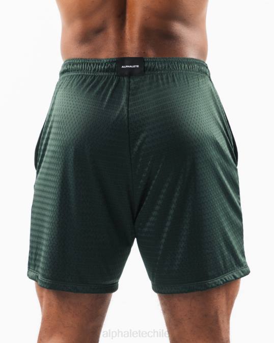 malla cabeza de lobo corta 6" hombres Alphalete 08R8660 ropa hojas perennes