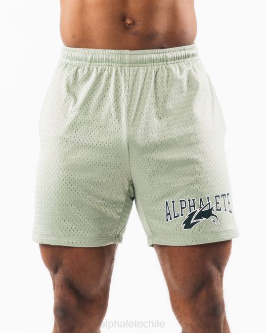 malla cabeza de lobo corta 6" hombres Alphalete 08R8661 ropa verde salvia