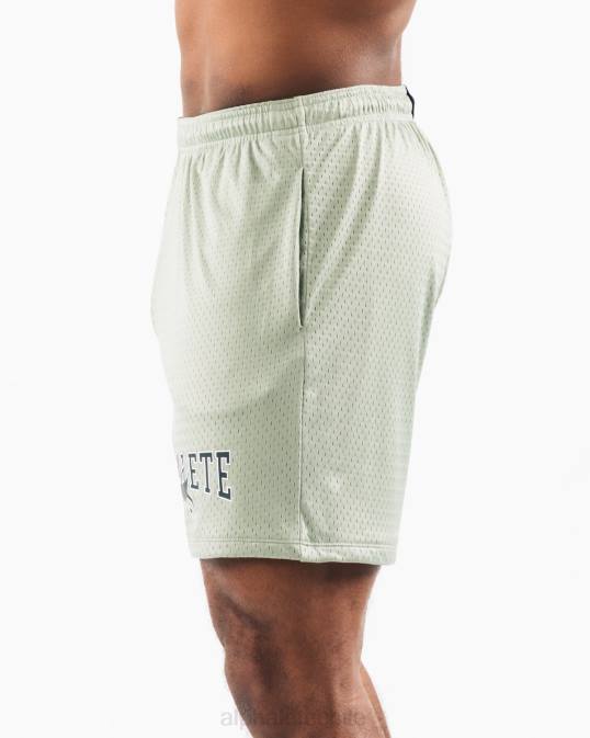 malla cabeza de lobo corta 6" hombres Alphalete 08R8661 ropa verde salvia