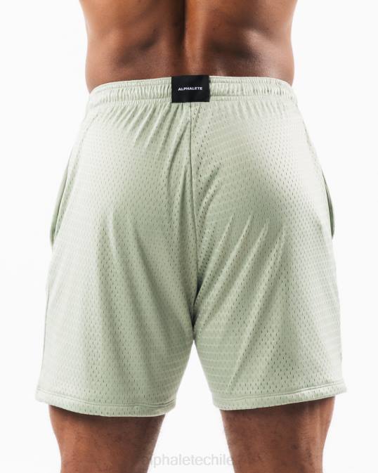 malla cabeza de lobo corta 6" hombres Alphalete 08R8661 ropa verde salvia
