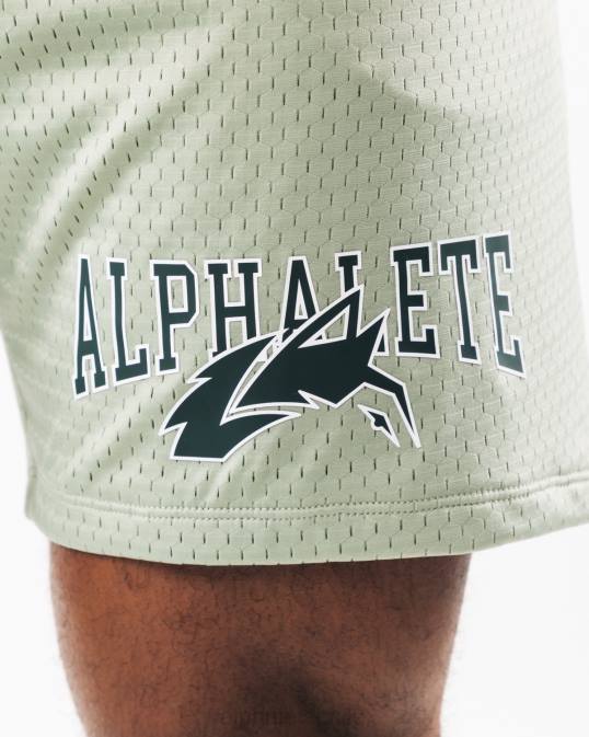 malla cabeza de lobo corta 6" hombres Alphalete 08R8661 ropa verde salvia