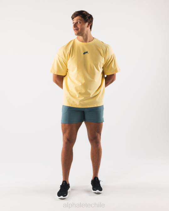 camiseta con estampado de cachemira y cabeza de lobo hombres Alphalete 08R8527 ropa amarillo