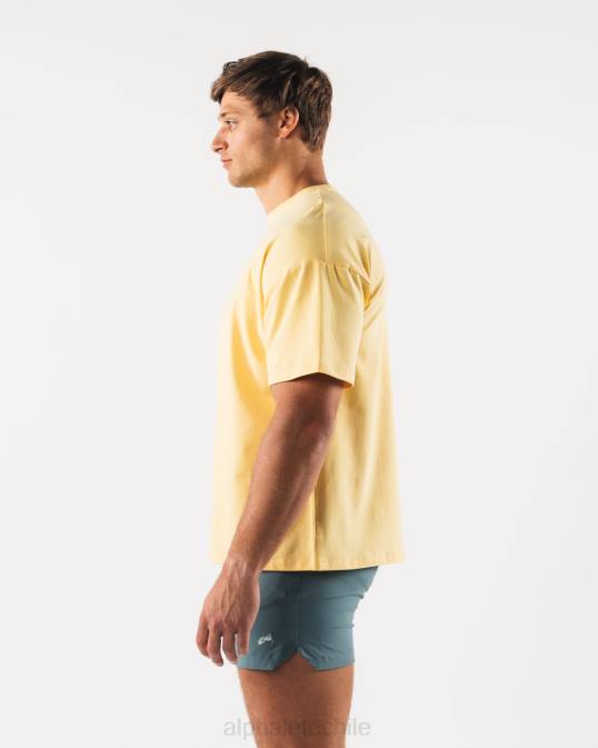 camiseta con estampado de cachemira y cabeza de lobo hombres Alphalete 08R8527 ropa amarillo