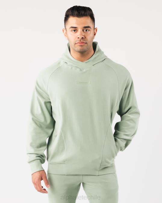 sudadera con capucha de identidad pro hombres Alphalete 08R8622 ropa verde salvia