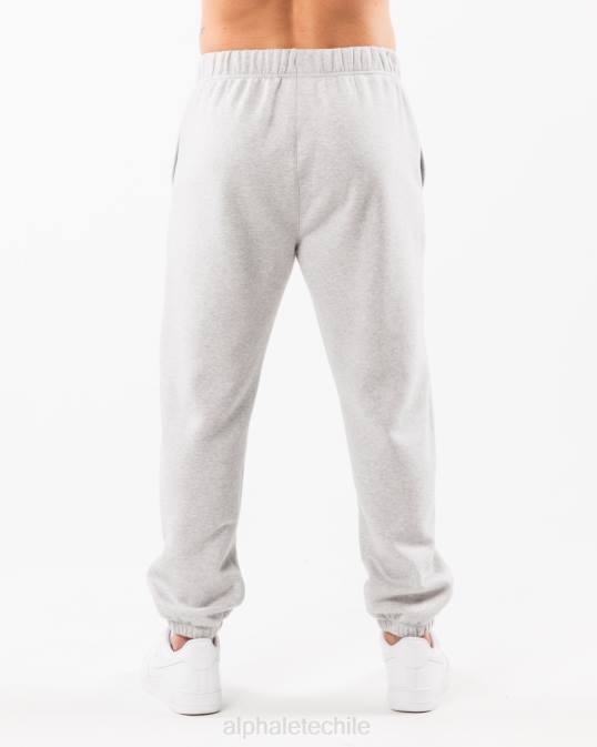 jogger relajado academia hombres Alphalete 08R8718 ropa cuero gris