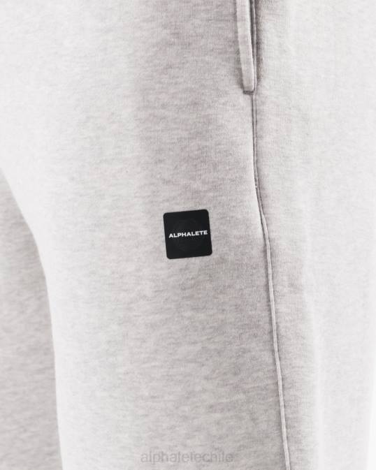 jogger relajado academia hombres Alphalete 08R8718 ropa cuero gris