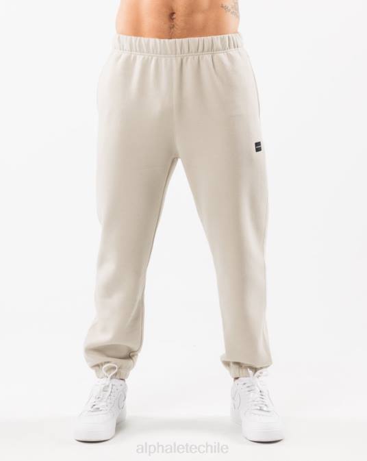 jogger relajado academia hombres Alphalete 08R8719 ropa concha de mar marrón