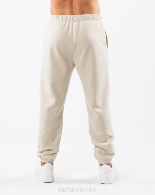 jogger relajado academia hombres Alphalete 08R8719 ropa concha de mar marrón