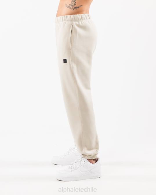 jogger relajado academia hombres Alphalete 08R8719 ropa concha de mar marrón