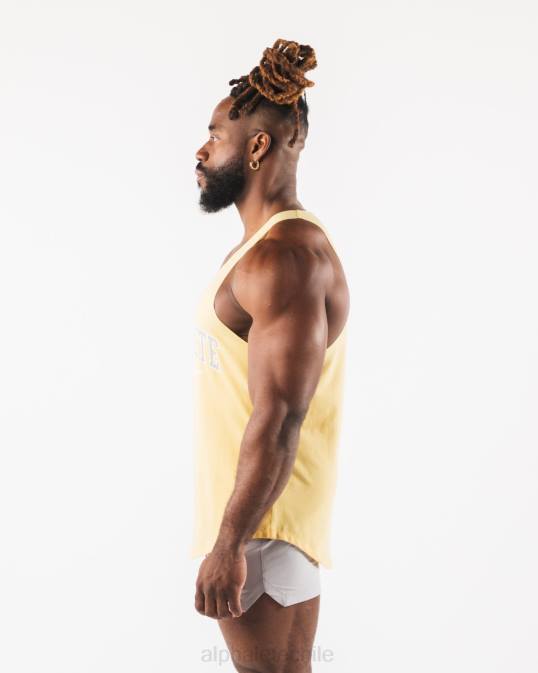 camiseta sin mangas con estampado de cachemira hombres Alphalete 08R8579 ropa amarillo