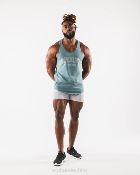 camiseta sin mangas con estampado de cachemira hombres Alphalete 08R8580 ropa azul turquesa