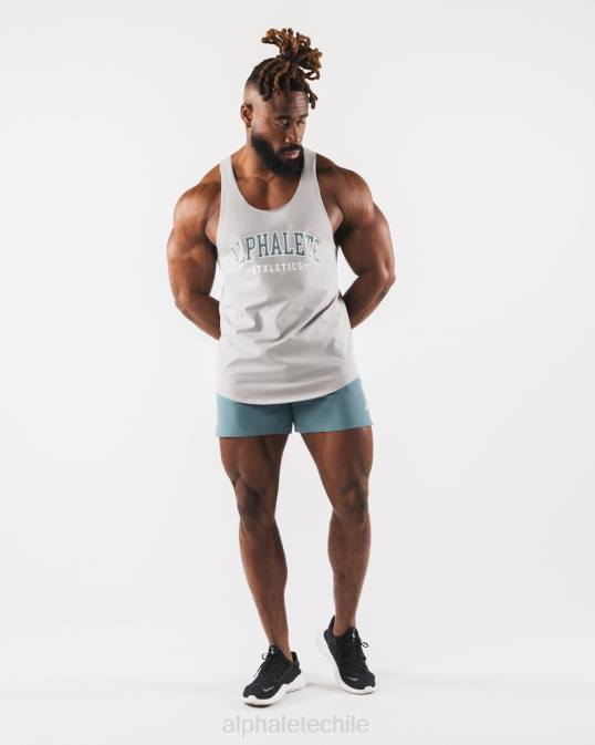 camiseta sin mangas con estampado de cachemira hombres Alphalete 08R8581 ropa gris atlético