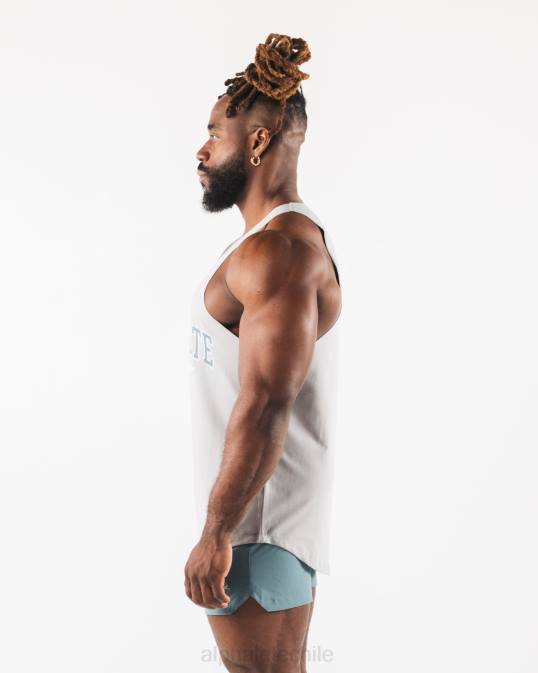 camiseta sin mangas con estampado de cachemira hombres Alphalete 08R8581 ropa gris atlético