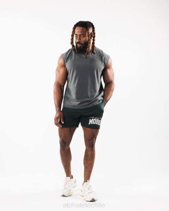 tanque muscular de cabeza de lobo cepillado hombres Alphalete 08R8586 ropa humo gris