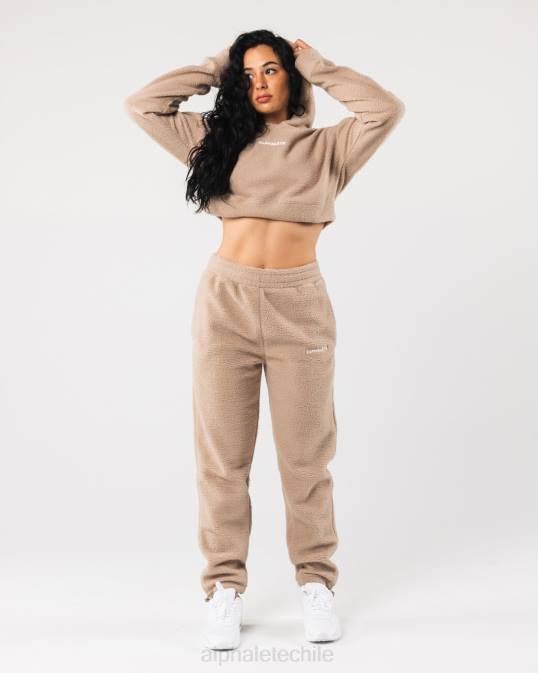 sudadera con capucha king crop mujer Alphalete 08R8274 ropa marrón lino