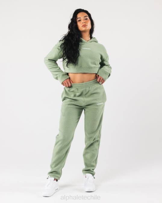 sudadera con capucha king crop mujer Alphalete 08R8275 ropa verde salvia