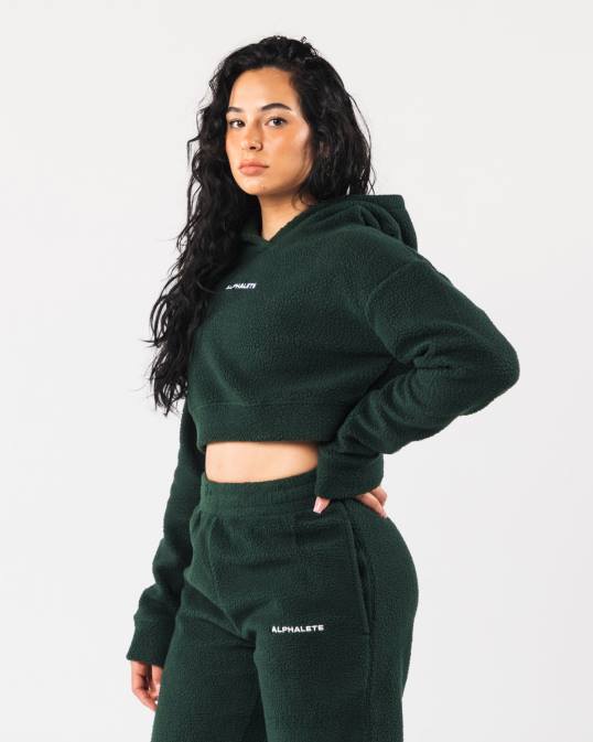 sudadera con capucha king crop mujer Alphalete 08R8276 ropa verde perenne