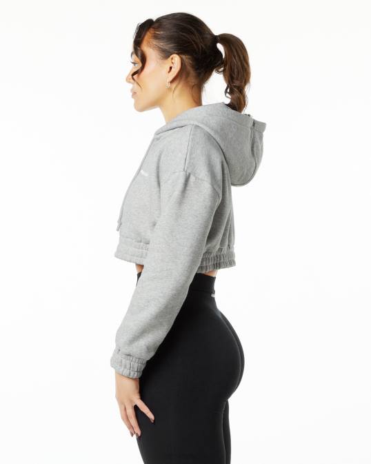 sudadera corta con capucha capital clásica mujer Alphalete 08R8281 ropa cuero gris