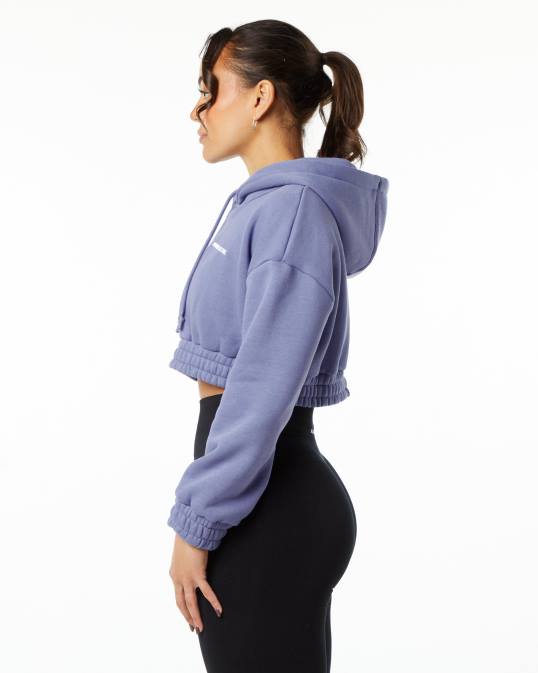 sudadera corta con capucha capital clásica mujer Alphalete 08R8283 ropa violeta digital violeta