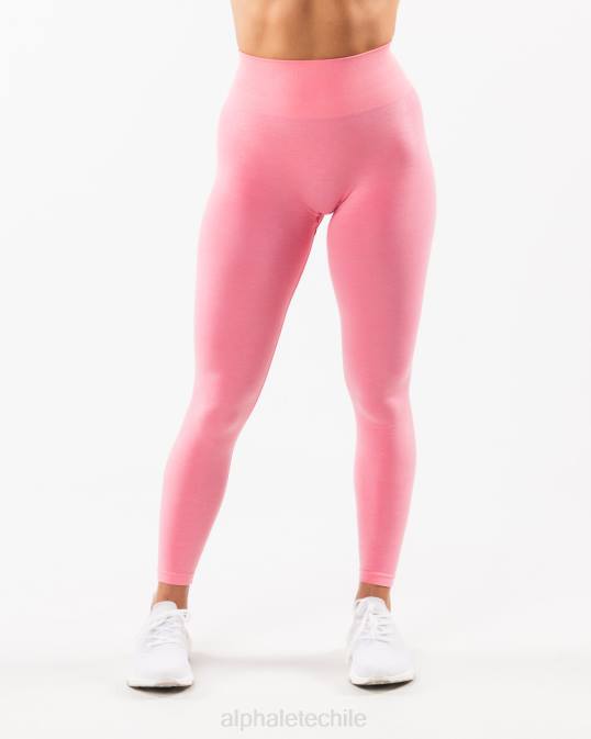 amplificar legging mujer Alphalete 08R8409 ropa algodón de azúcar rosa