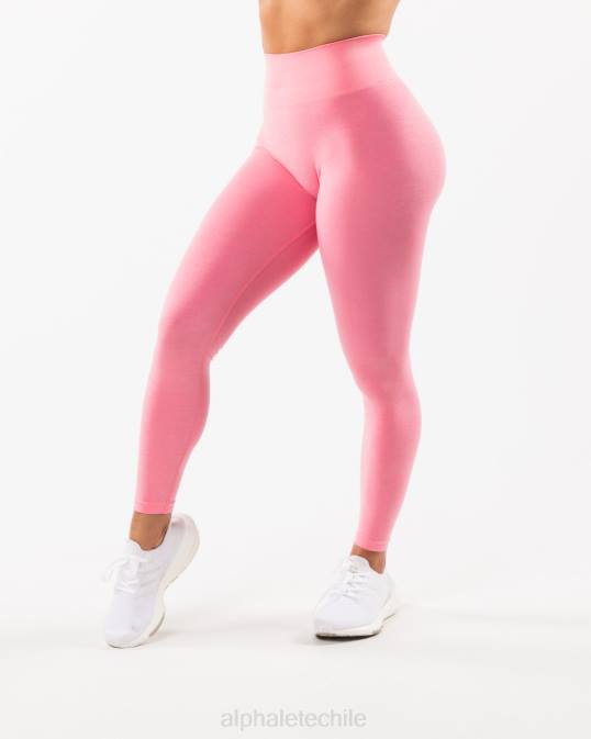 amplificar legging mujer Alphalete 08R8409 ropa algodón de azúcar rosa