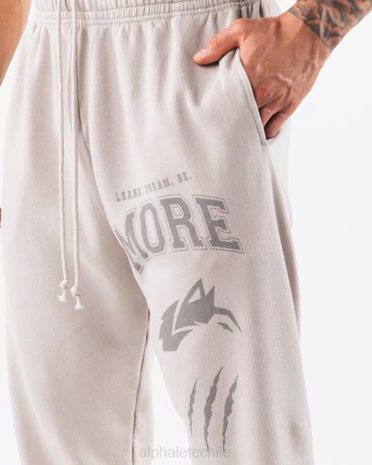 joggers con gráfico teñido tierra unisexo Alphalete 08R8455 ropa Gris plateado