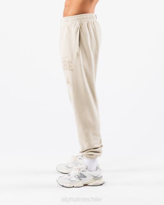 joggers con gráfico teñido tierra unisexo Alphalete 08R8456 ropa concha marrón