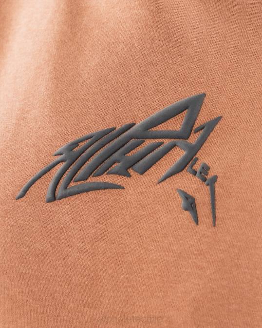 plantilla sudadera con capucha unisexo Alphalete 08R8270 ropa marrón arcilla